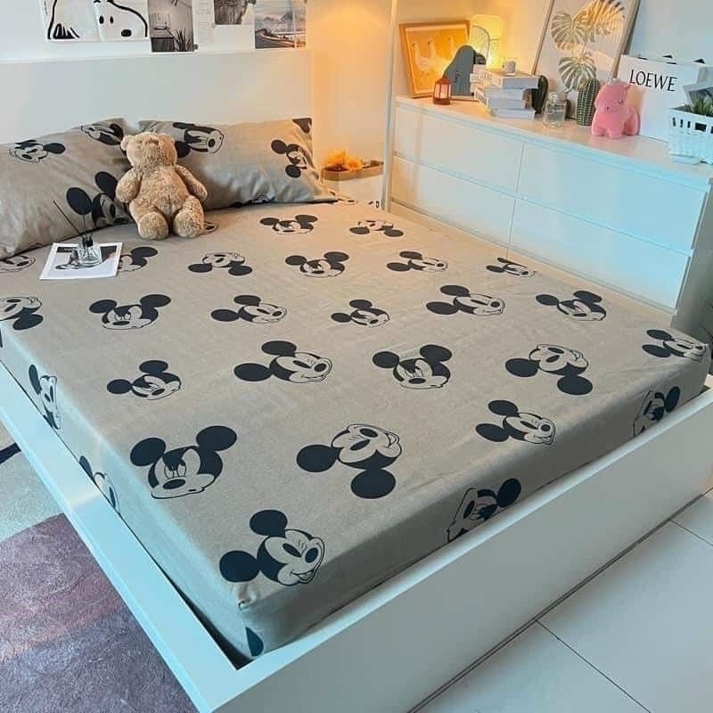 Ga trải giường m6/m8 drap giường poly nhiều mẫu lựa chọn