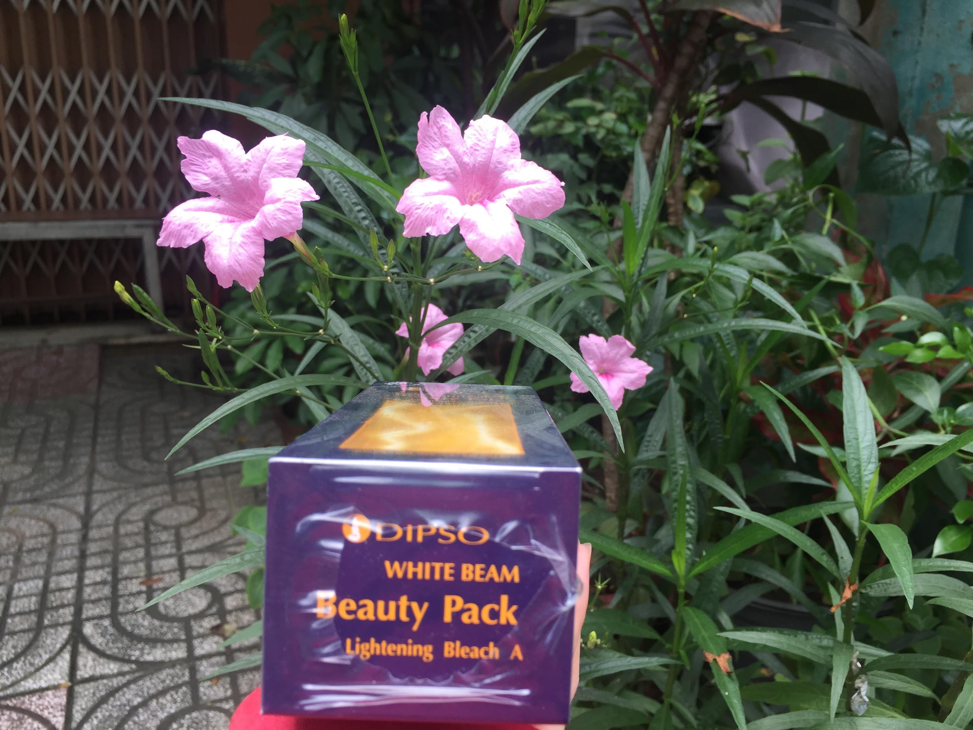 Sét tắm trắng da từ thiên nhiên DIPSO Thái Lan 90 ml