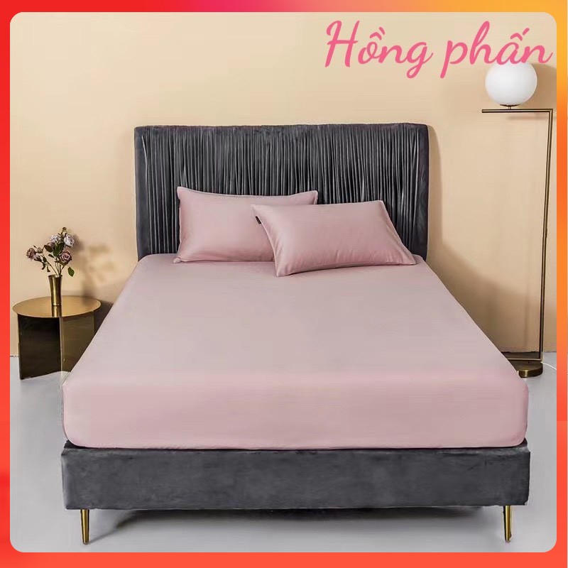 (❣️GIÁ BAY NÓC) Bộ ga gối lụa tencel trơn 60s cao cấp ga giường lụa mát lạnh - nhiều mẫu lựa chọn