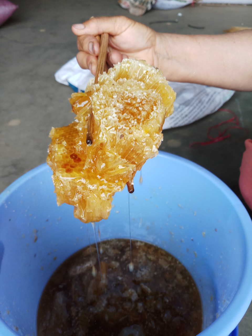 MẬT ONG RỪNG NGUYÊN CHẤT (RỪNG QUỐC GIA KONKAKING GIA LAI)