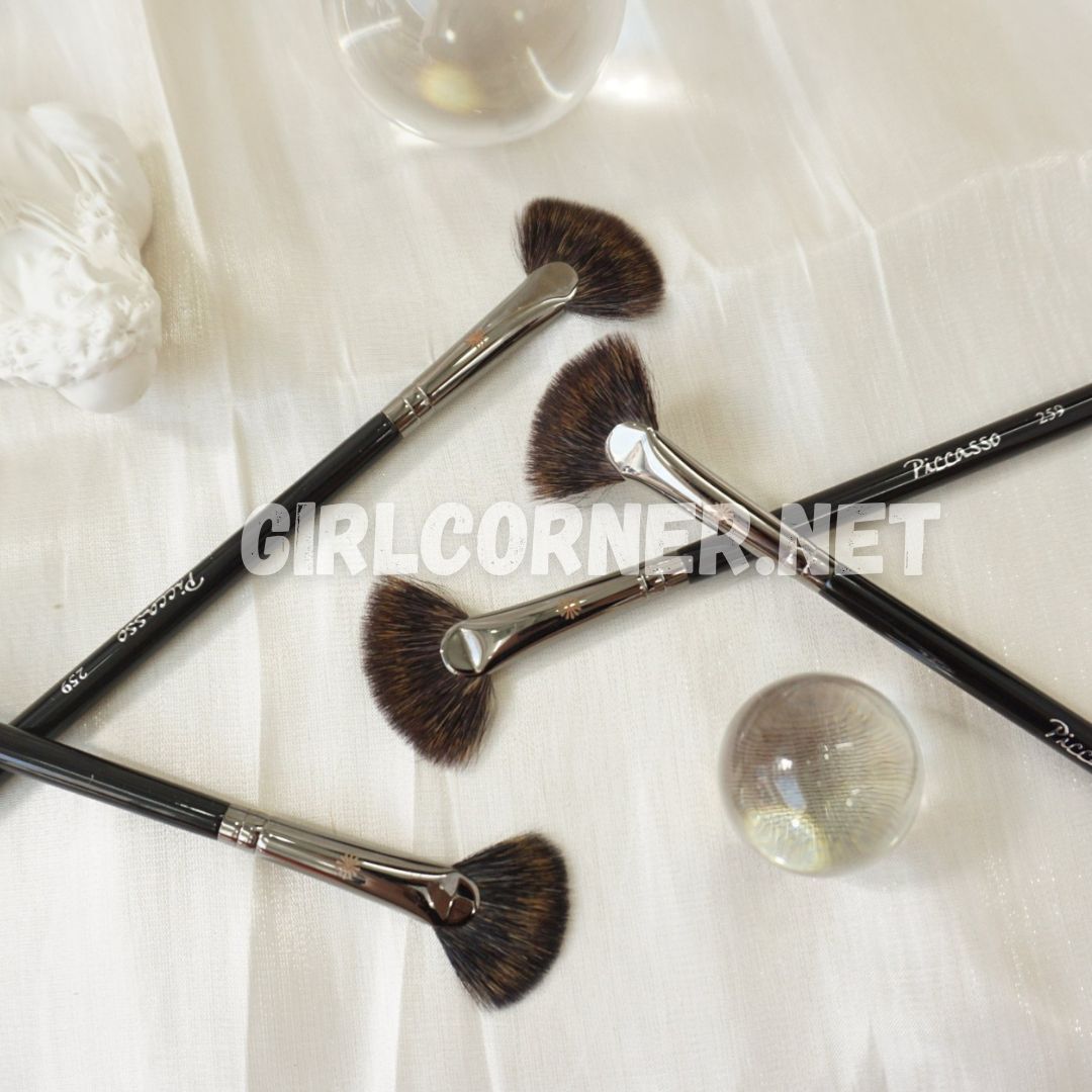 Cọ Piccasso Mini Fan Highlighter Brush 259