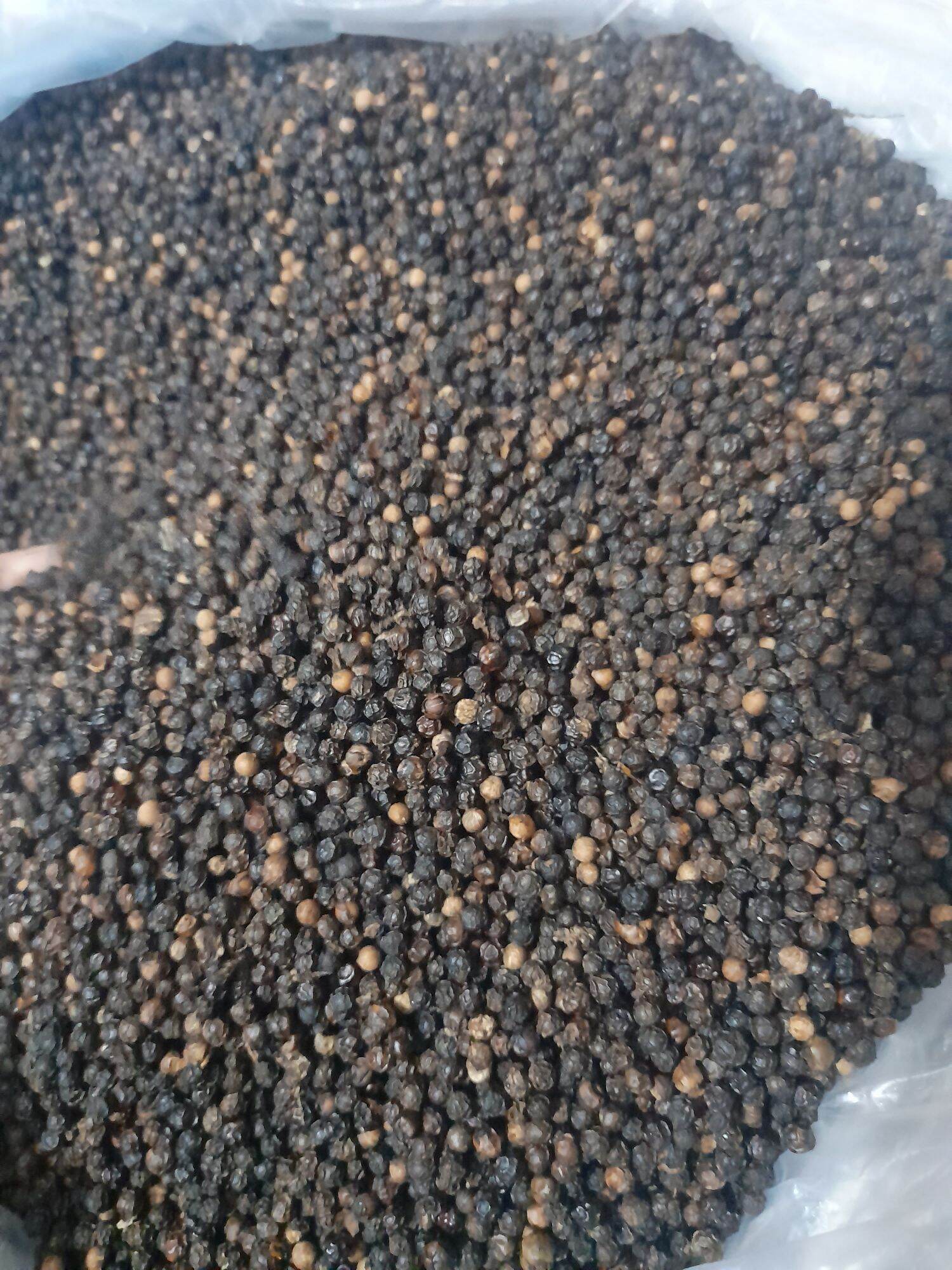 Hạt Tiêu Đen Phú Quốc