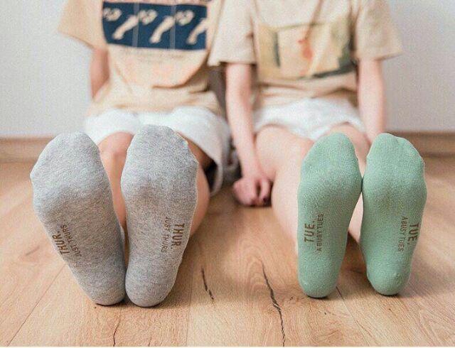 [HCM]Set 7 đôi vớ Tất vớ đôi 7 ngày chất cotton đẹp mịn
