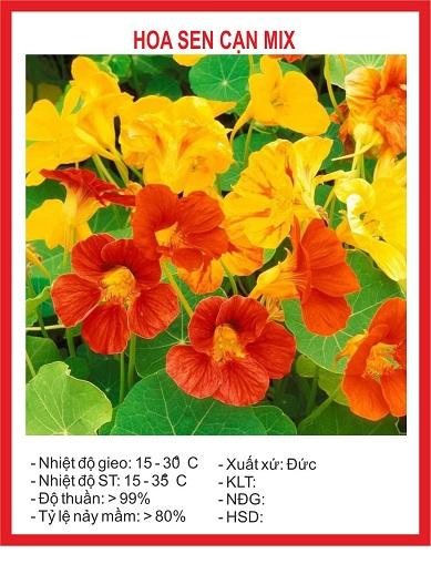Hạt giống hoa sen cạn mix màu