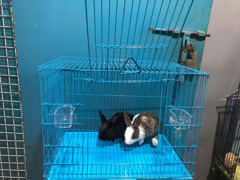 Lồng sắt không kích thước 30-40-30 cho thỏ,bọ ú,sóc..