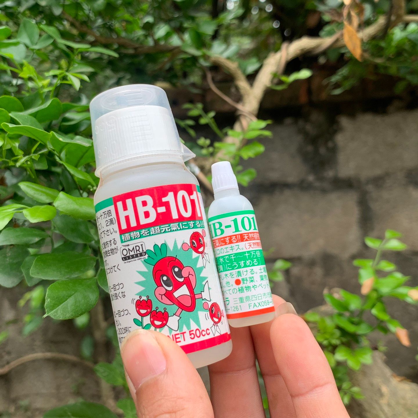 hb 101
