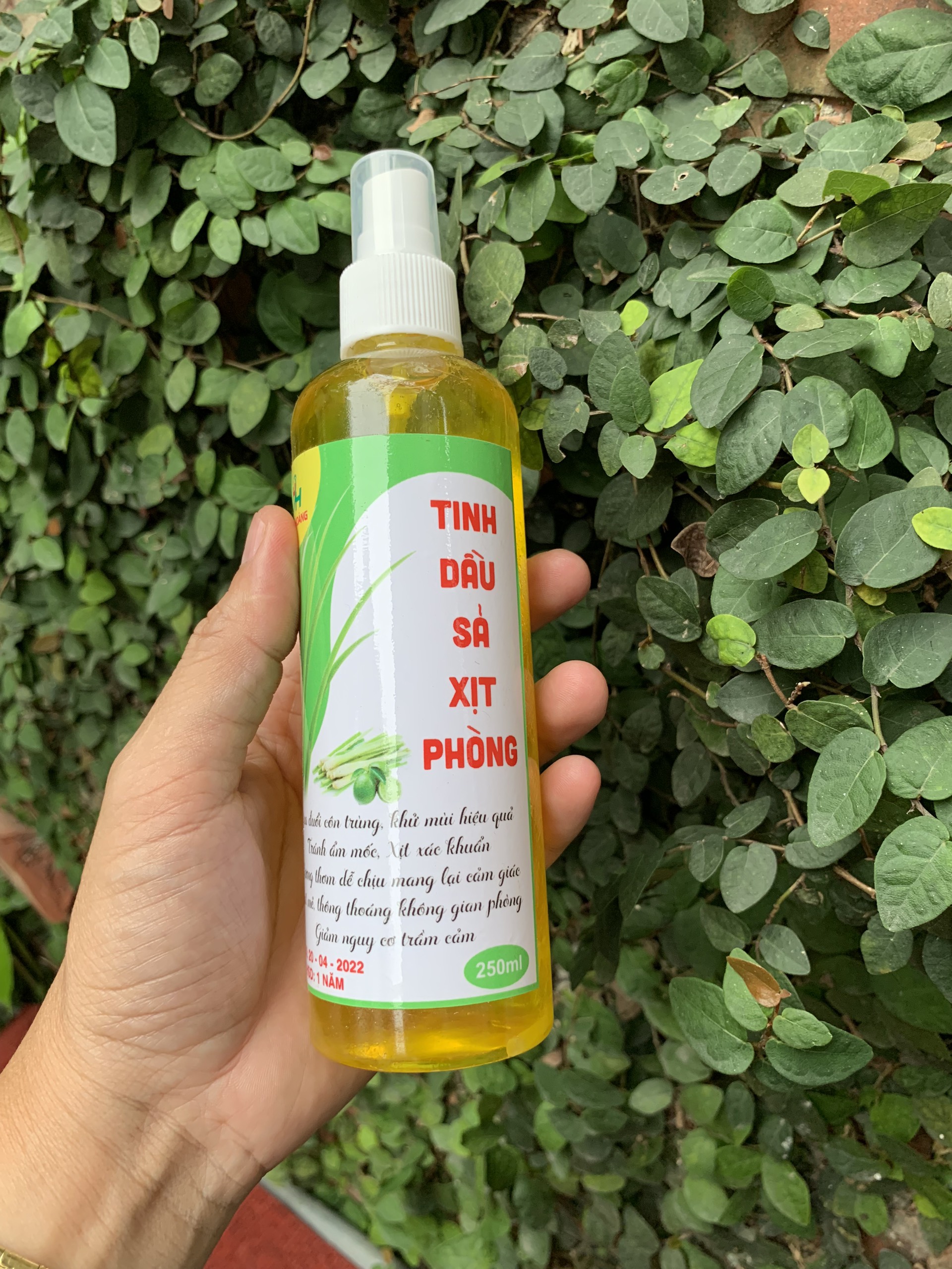 Tinh dầu sả/ Sả chanh