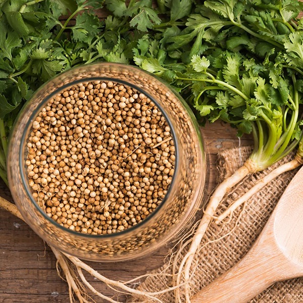 hạt mùi khô ( hạt ngò ) gia vị bếp việt