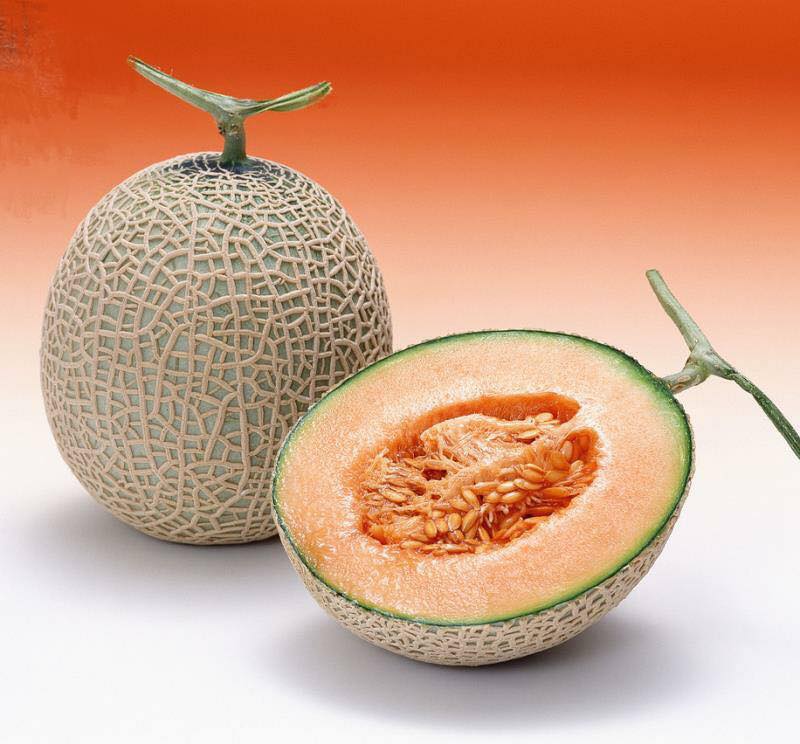 Hạt giống dưa lưới xanh (gói 100 hạt ) - VTNN2