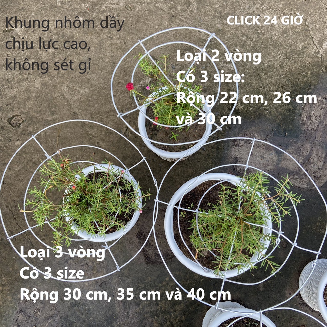 Khung giá đỡ tạo hình bonsai hoa mười giờ , cây cảnh khung bonsai không rỉ sét tạo dáng cây cảnh hoa mười giờ