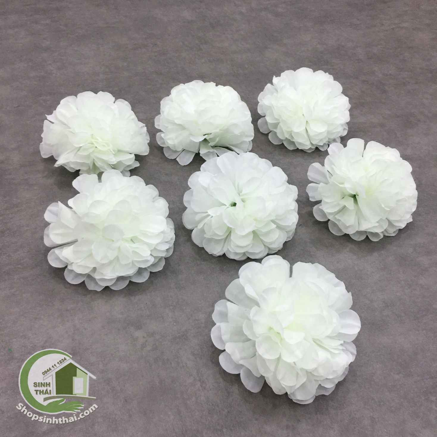 2 Bông hoa cẩm tú cầu màu trắng