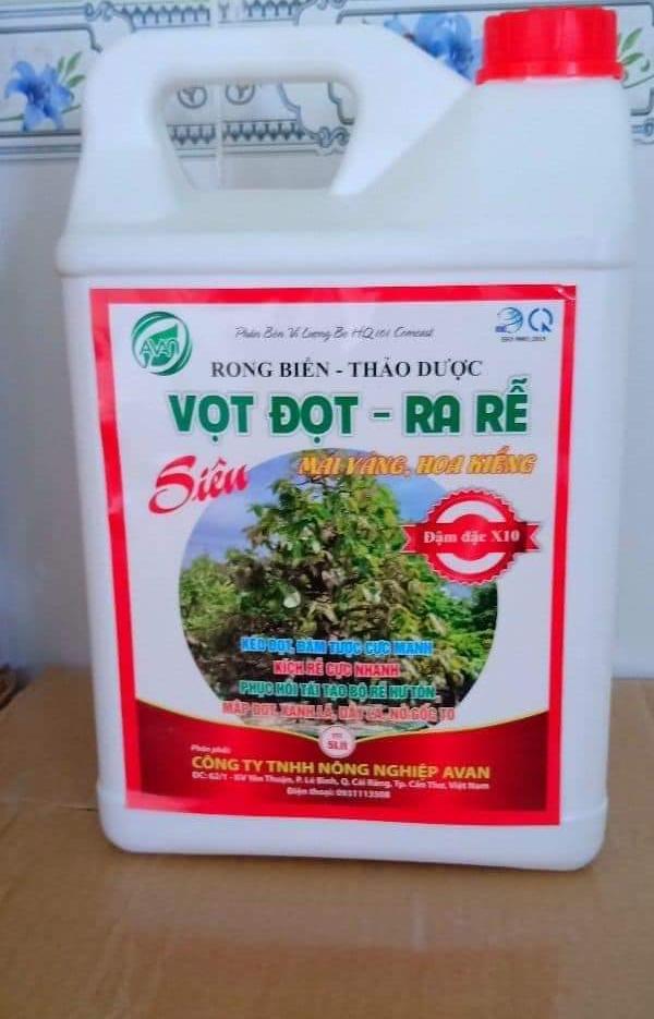 PHÂN BÓN VỌT ĐỌT RA RỄ MAI VÀNG HOA KIỂNG