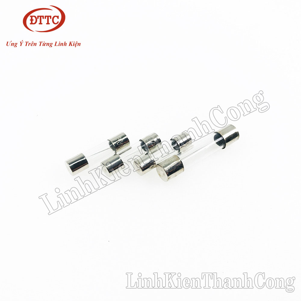 Bộ 2 Chiếc Cầu chì 1A 2A 3A 5A 8A 10A 250VAC 5x20mm