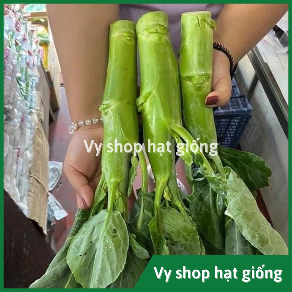Hạt giống cải làn (cải rổ) thân mập Thái Lan gói 1100 hạt