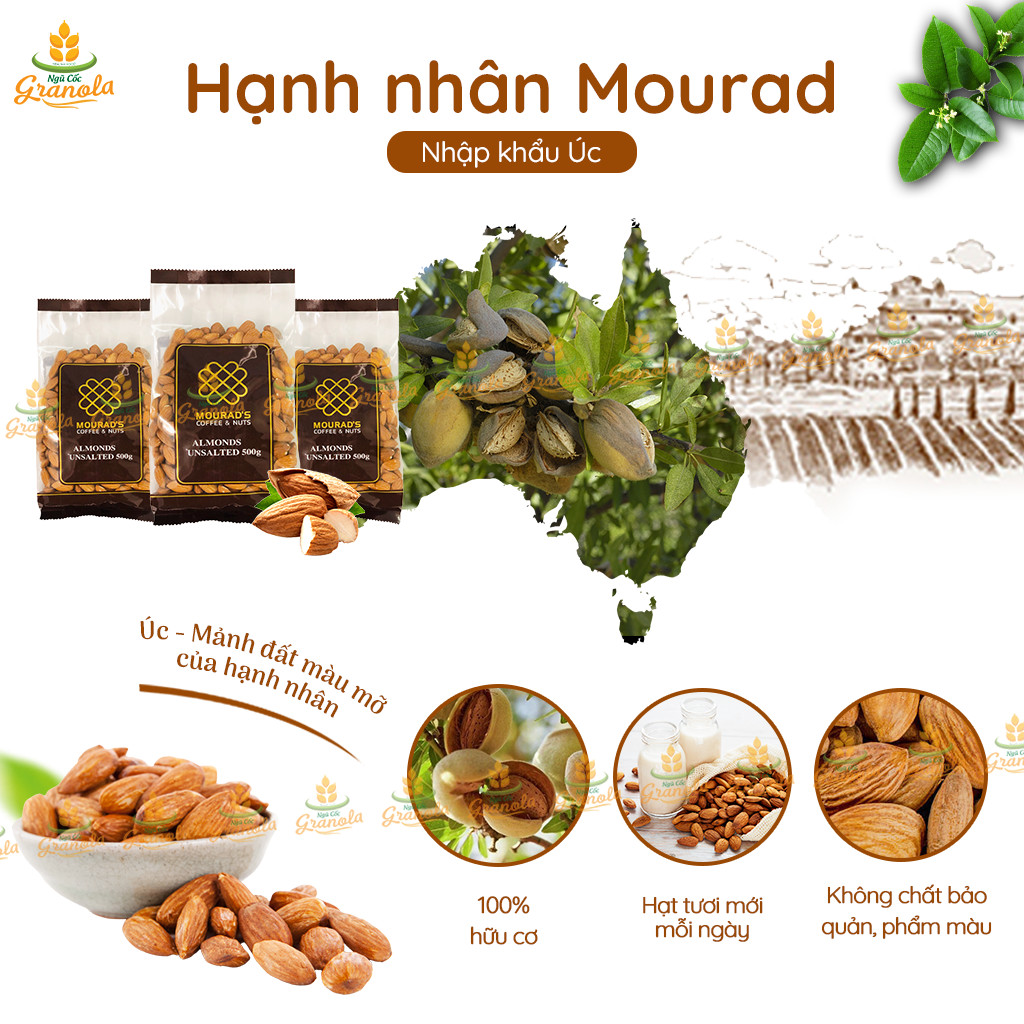 【Hạnh Nhân Úc Tách Sẵn Vỏ】 Nhân Hạnh Nhân Mourad's 500g (Ăn Kiêng/ Làm sữa/ Giảm cân) - (Hạt Ngon)