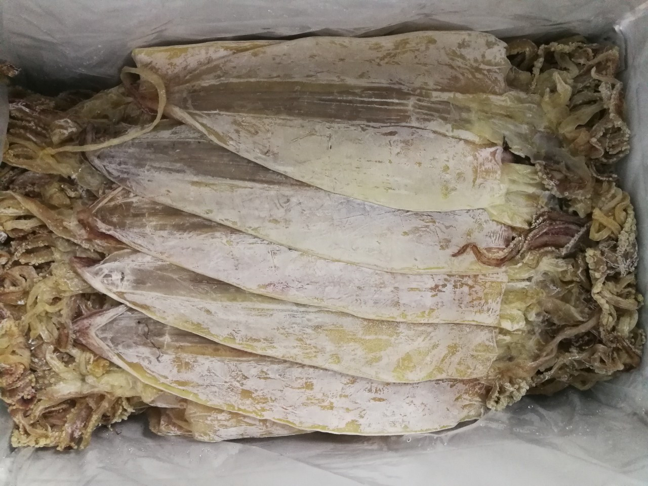 [ 500 gram ] Mực Khô Loại Sịn Size lớn ( 12- 14 Con) Cực Ngọt