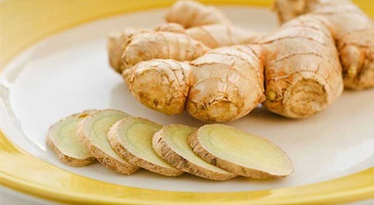 cây nghệ trắng rừng (giống)
