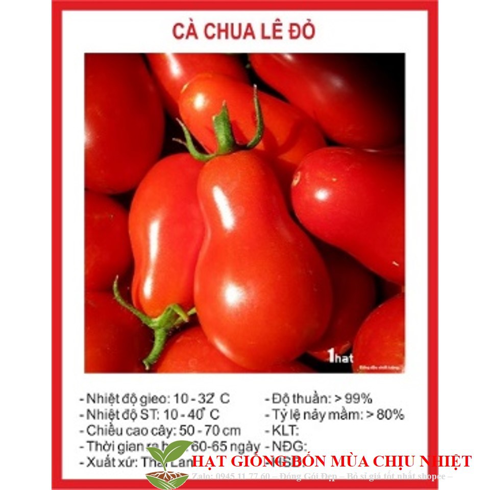 MJ88 [GIÁ GỐC] Hạt Giống Cà Chua Quả Lê Đỏ - 20 hạt