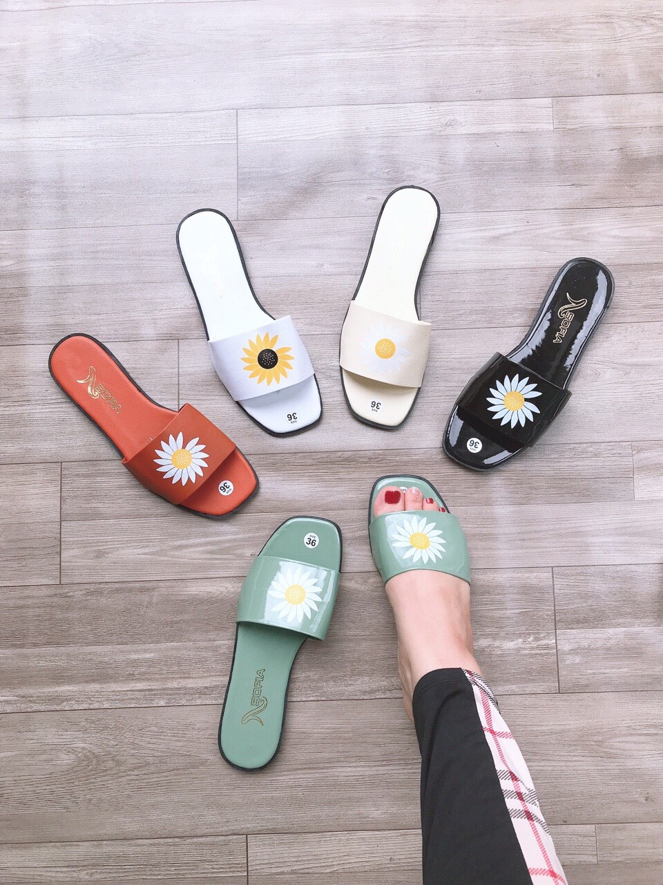 Dép lê hoa cúc cực hót