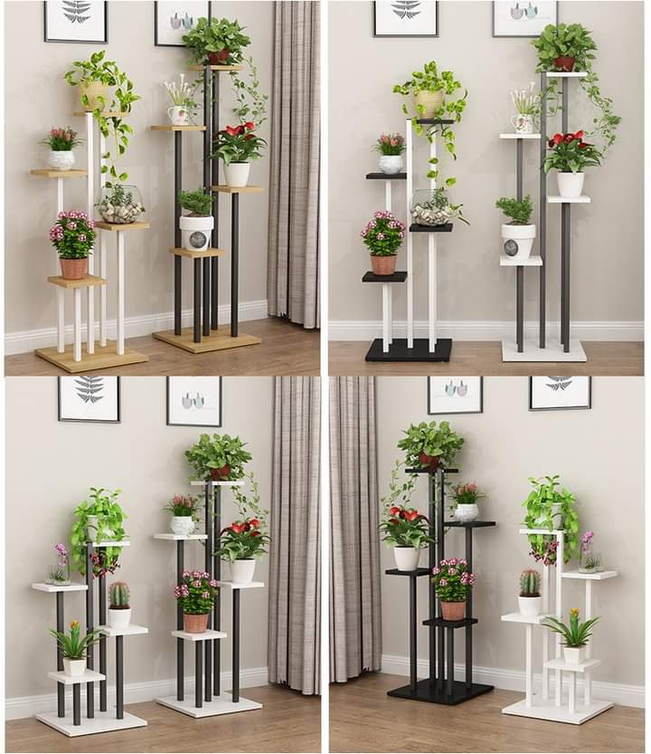 Kệ trang trí tiểu cảnh mini trong nhà