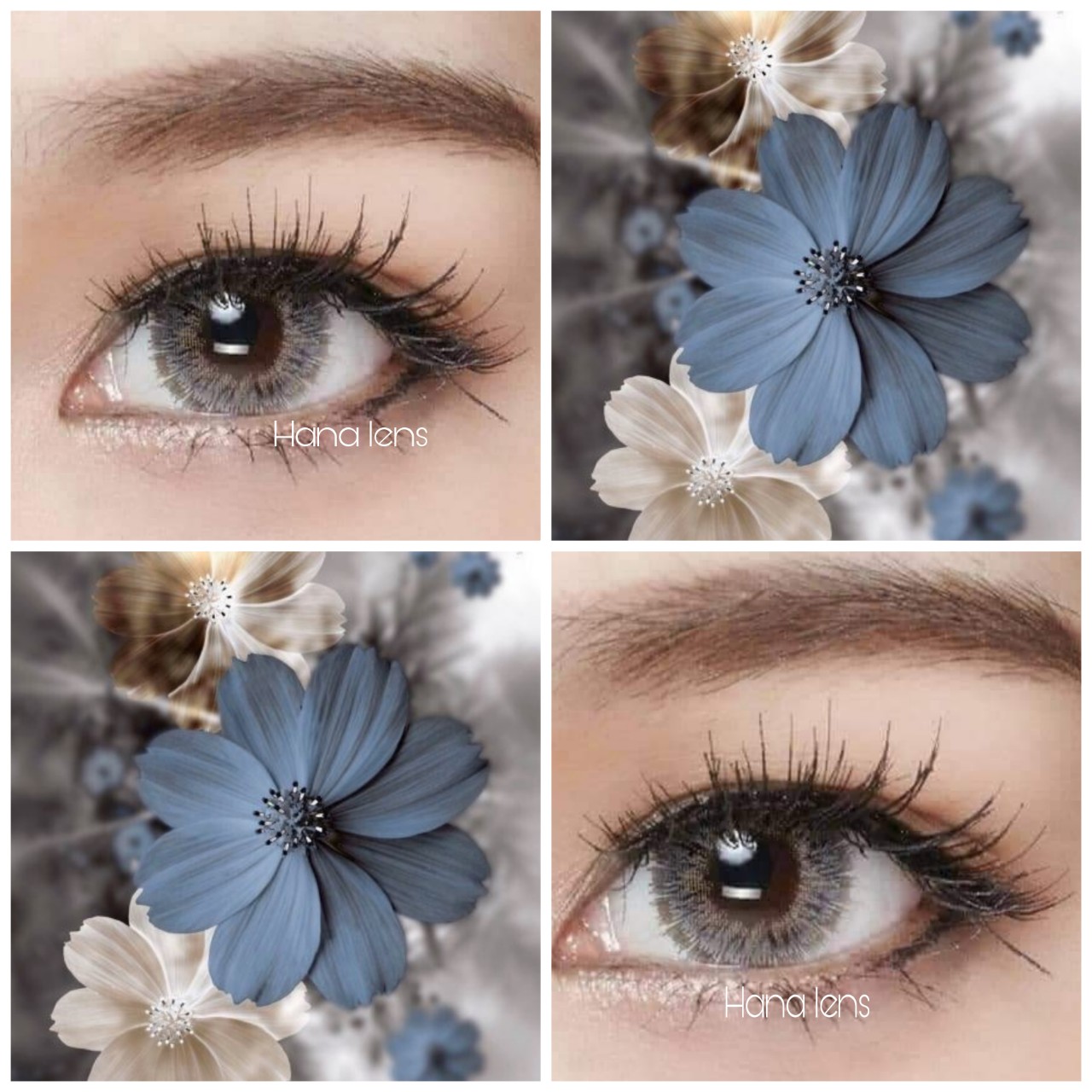Lens - Kính áp tròng xám tây Lens đeo êm, không cộm, lên màu lens đẹp long lanh , tặng kèm khay đựng - Hana lens
