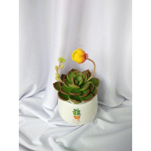 Chậu sen đá đất sét đường kính 10cm có hoa