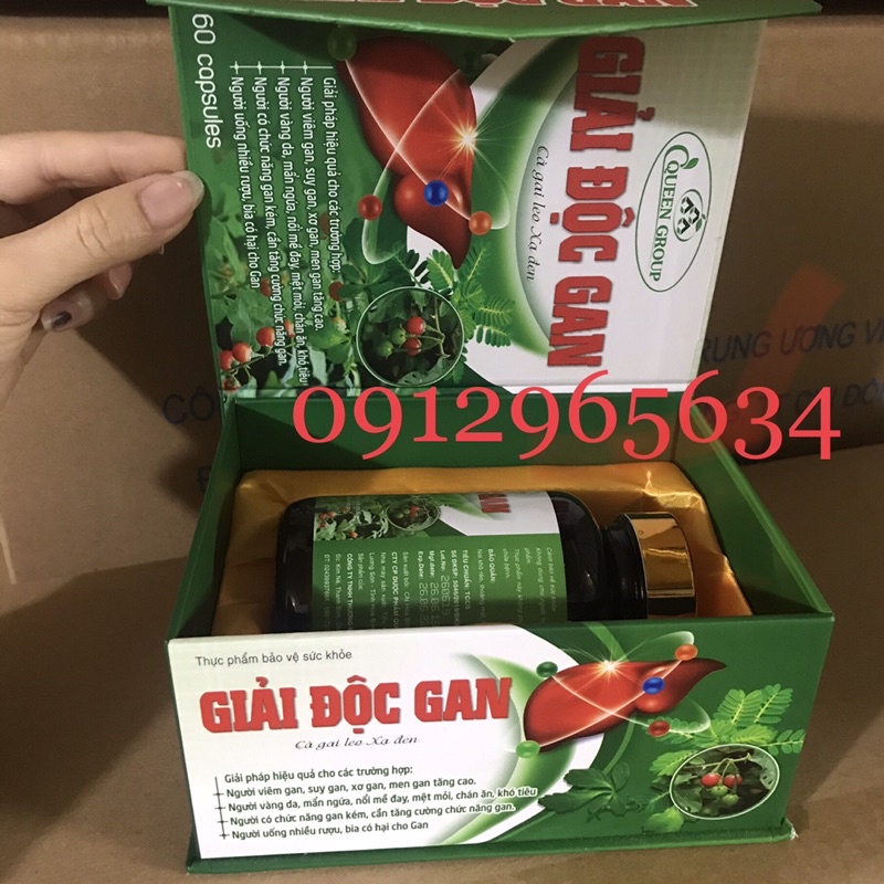 Giải độc gan Cà gai leo xạ đen hỗ trợ viêm gan suy gan men gan cao mát gan người uống rượu bia nóng gan hàng VN 60v
