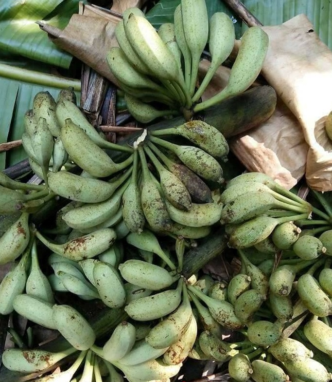Chuối Hột Rừng Thái Lát Phơi Khô 1 kg