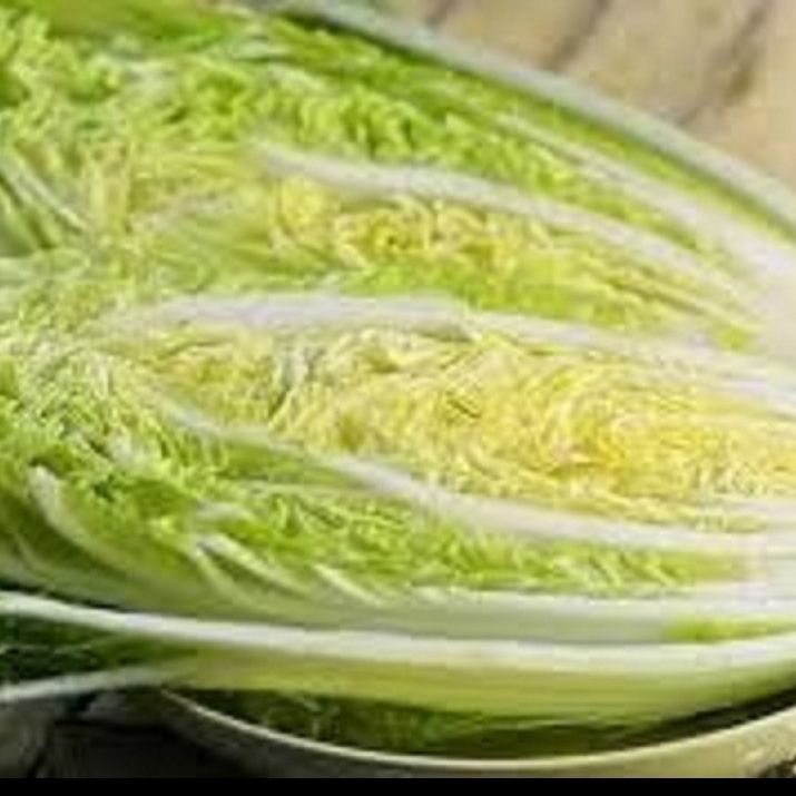 Hạt giống bắp cải thảo trắng -gói 0.2gram
