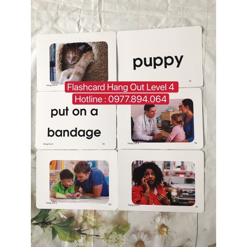 Flashcard Hang Out Level 4️144 thẻ size A5 siêu đẹp
