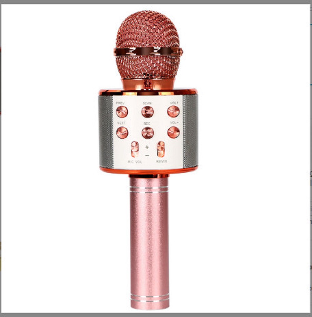 Loa kèm Micro Bluetooth Không Dây Bh 1 tháng