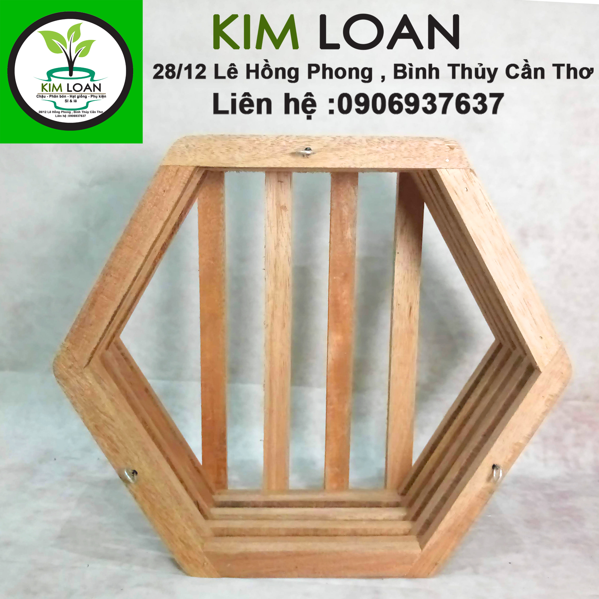 Chậu lan gỗ lục giác 32x13cm