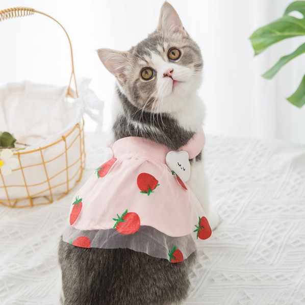 Váy cho chó mèo Váy cộc tay Quần áo thú cưng - CutePets Cutepets - Pet shop  & Grooming Spa Thú cưng Hà Nội
