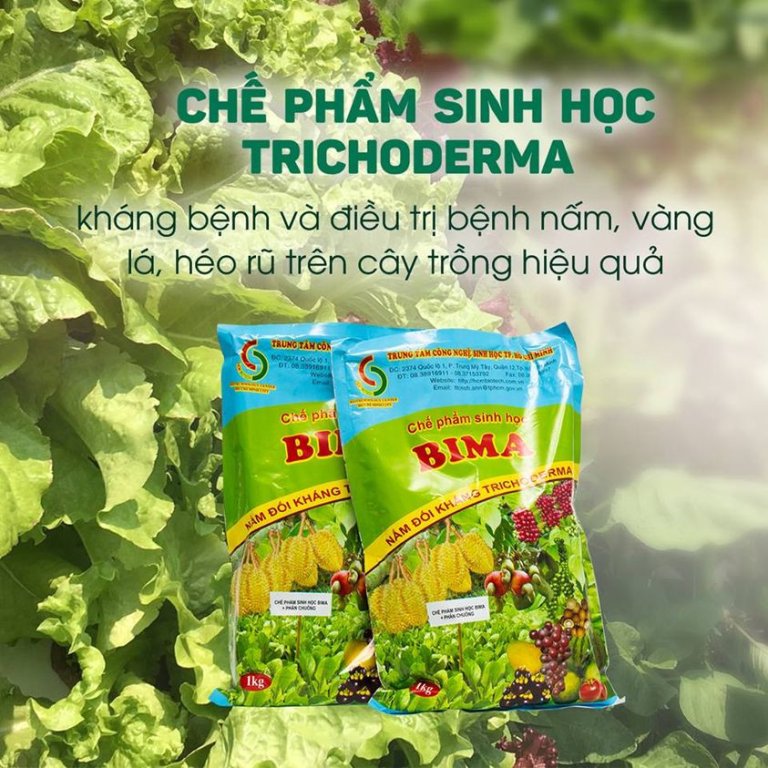 Chế Phẩm Sinh Học Trichoderma – Bima nấm đối kháng, ủ rác hữu cơ, xử lý đất