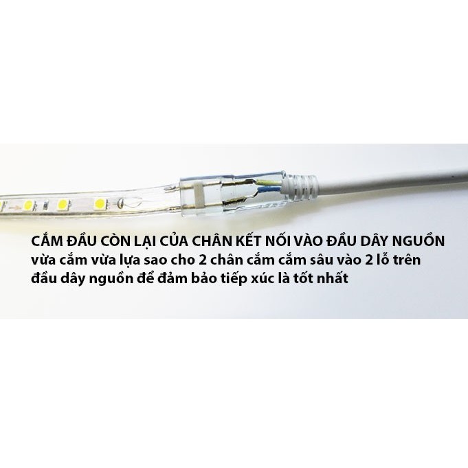 Dây Nguồn Đèn Led Dây 5050 - 2835 - 5730
