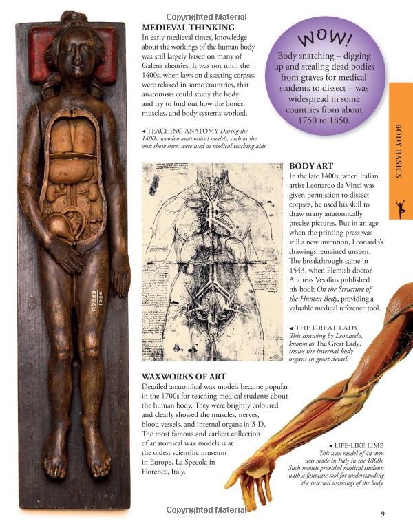 Fahasa - Human Body A Children's Encyclopedia