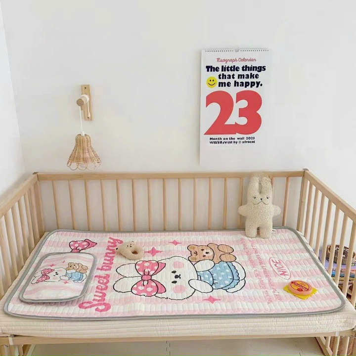 Chiếu điều hoà kèm gối cao su non 5D cho bé