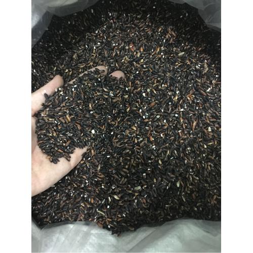 Nếp Than 1kg