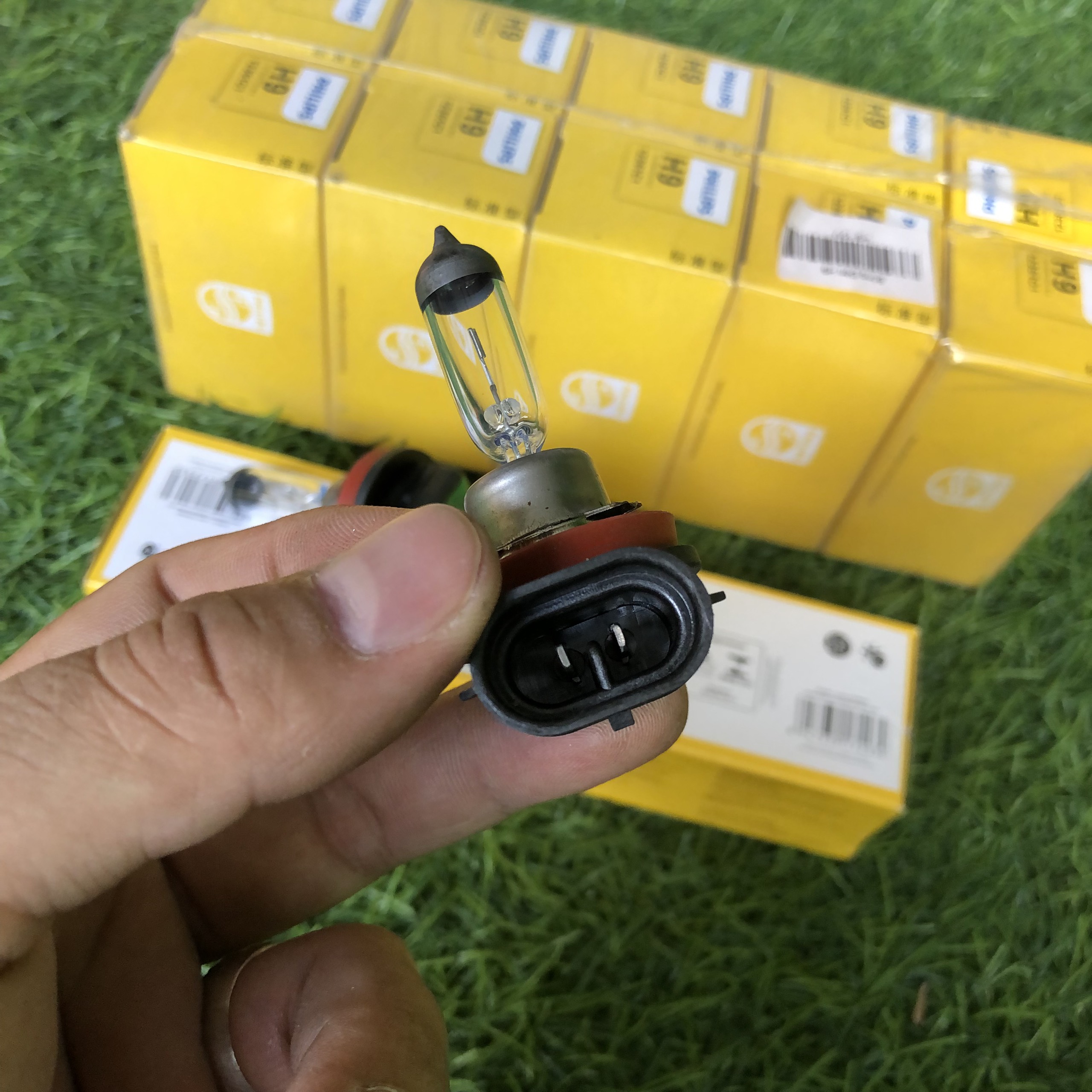 BÓNG ĐÈN GẦM CHÂN H11 PHILIPS