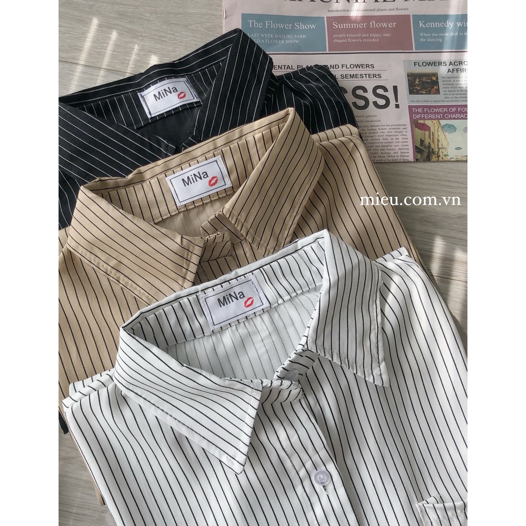 MIỀU_ÁO SƠ MI TAY DÀI ASHLEY SHIRT