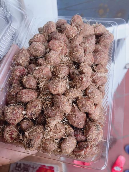 [ Đặc sản Hà nội ] Combo 200g ô mai mơ gừng chua mặn ngọt