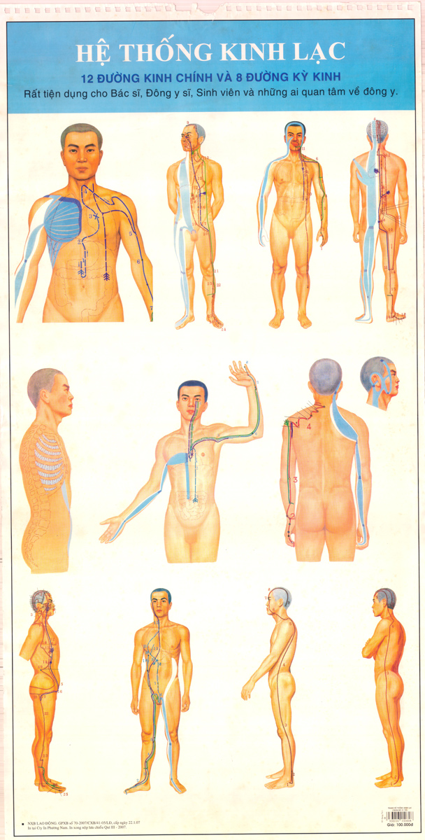 Sách Hệ Thống Kinh Lạc - Newshop