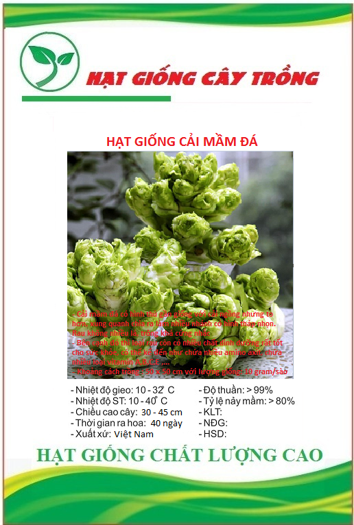 Hạt giống rau cải mầm đá sapa ct339 - gói 20 hạt