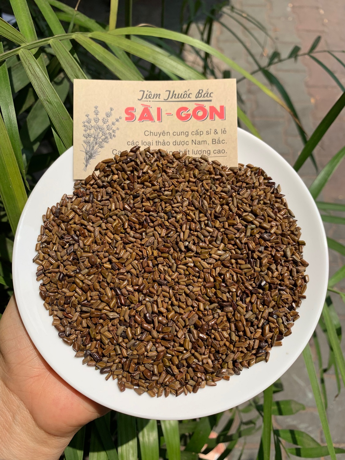 [HCM]Thảo Quyết Minh 100gram