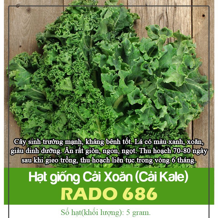 5Gram Hạt Giống Cải Xoăn ( Cải Kale )