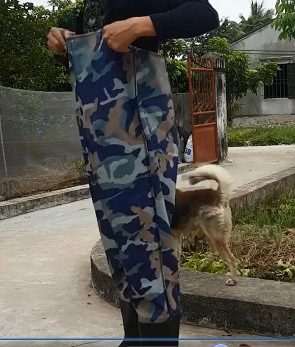 Quần lội nước rằn ri cao cấp