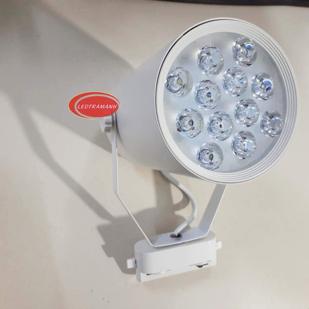 Đèn led rọi chiếu điểm 12W HG mắt ếch