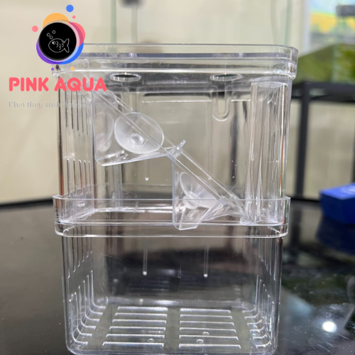 Lồng cá đẻ Mica đơn đôi trong suốt cho cá cảnh thủy sinh