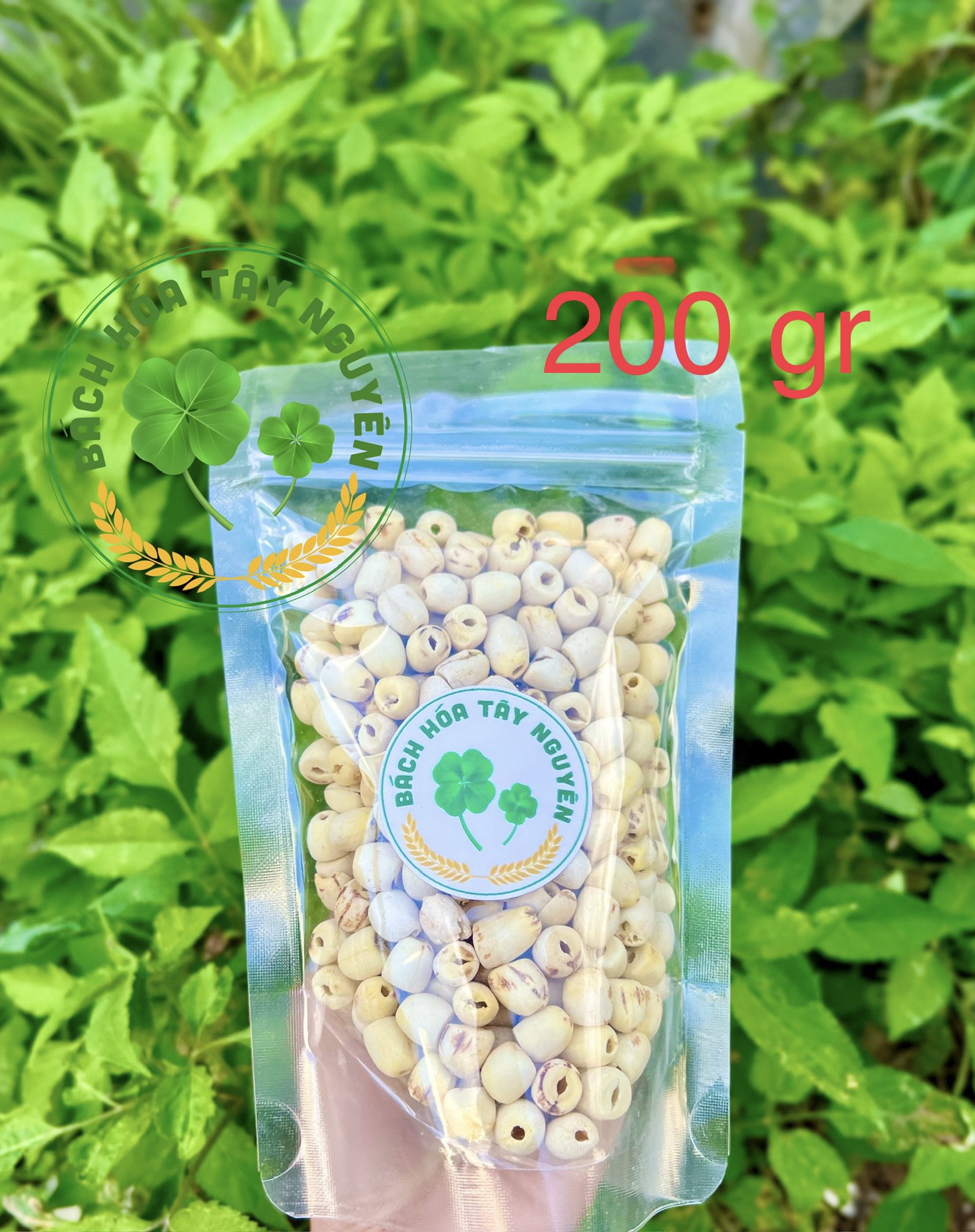 Hạt Sen Khô Đồng Tháp 500gr Sấy Khô Đặc Biệt