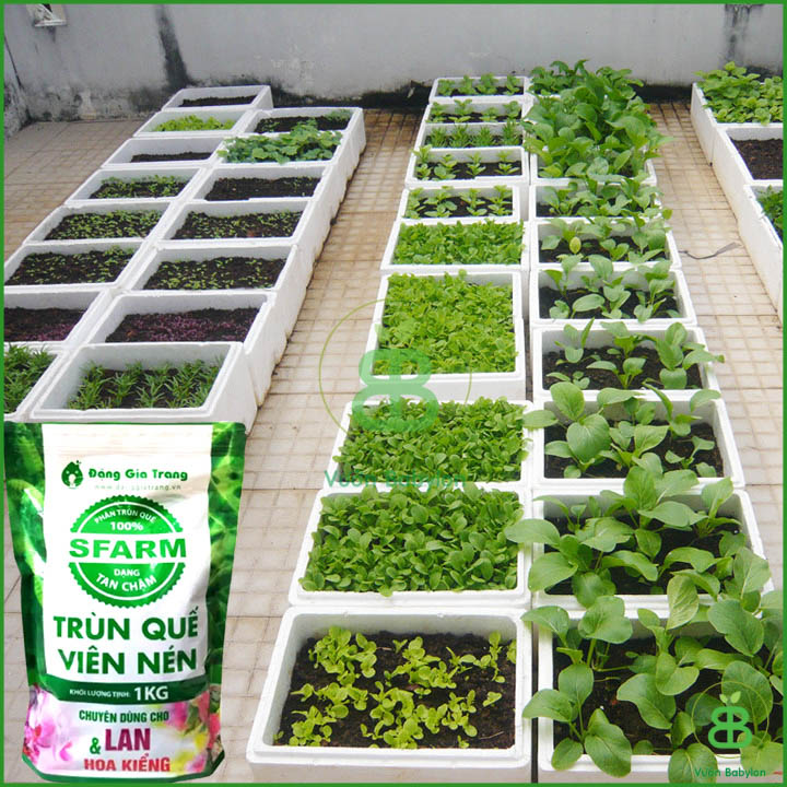 Phân Trùn Quế Viên Nén Sfarm 1KG